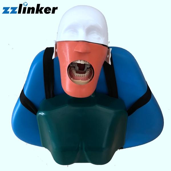 LK-OS24 Dental Simulation Head mould with body