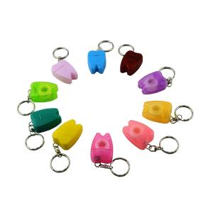 LK-S21 Dental Floss Key Chain