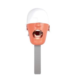 LK-OS23 Dental Simulation Head Mould
