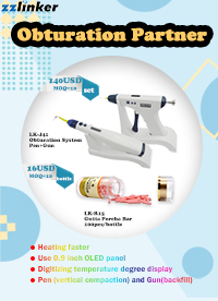LK-J41 Obturation System